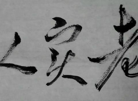 细数老实人的"三宗罪"