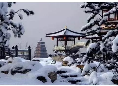 为啥雪天停车要把雨刷抬起，还不能拉手刹？看完你也会这样