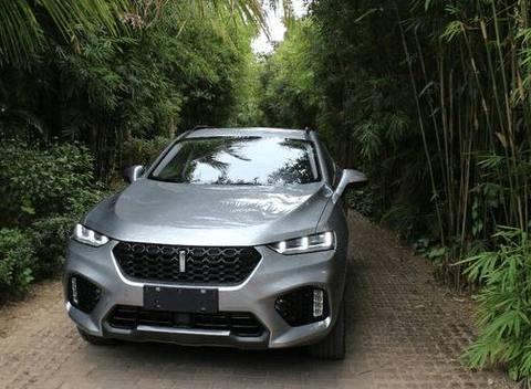 小伙被外观吸引喜提长城WEY，一个月后就后悔了