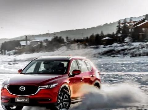 《新车大讲堂》：经受极地冰雪考验，这台车凭哪一点打动小伙伴