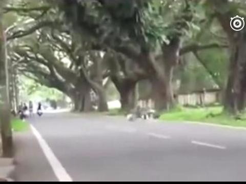 老司机也有翻车的时候，哈哈哈哈哈哈