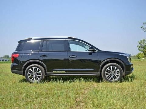 丰田RAV4VS广汽传祺GS8对比哪个更好呢？看车主是怎么说