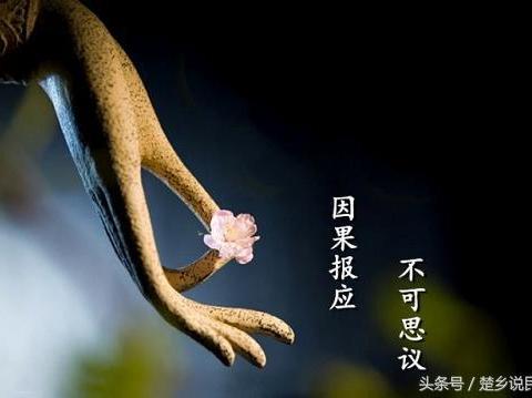 33句经典因果.