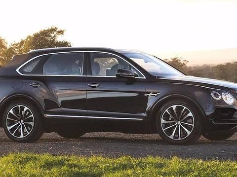 开着4秒破百的SUV去打猎！只能说你们歪果仁真的会玩！