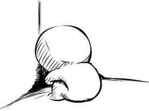 全国最良心的老板，发100辆新车给员工，有人却不想要！