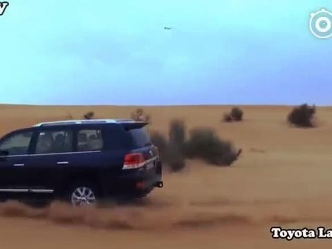 路虎揽运 VS 兰德酷路泽动态对比