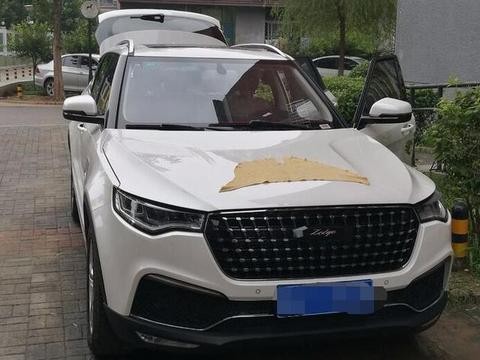 不听朋友劝说坚持提众泰T700，用车后，小伙坐不住了