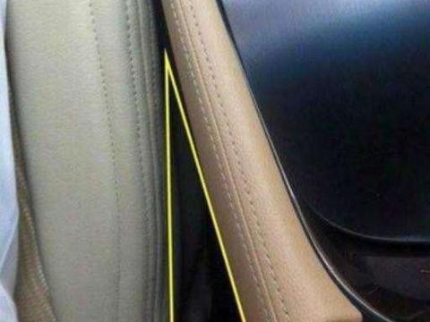 最无法理解的汽车反人类设计, 法系车中枪无数