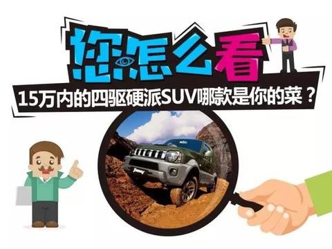 15W以内的SUV，哪款是你的菜？