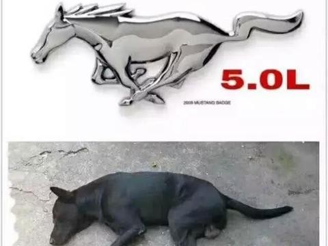 福特野马肌肉型小排量跑车，未来跑车发展趋势的楷模