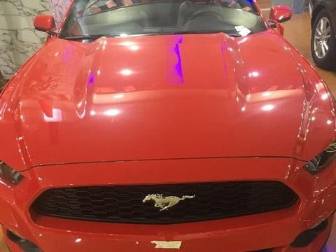 17款野马敞蓬跑车详图