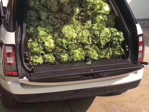 街拍路虎揽胜运动版/老板竟然用它卖白菜