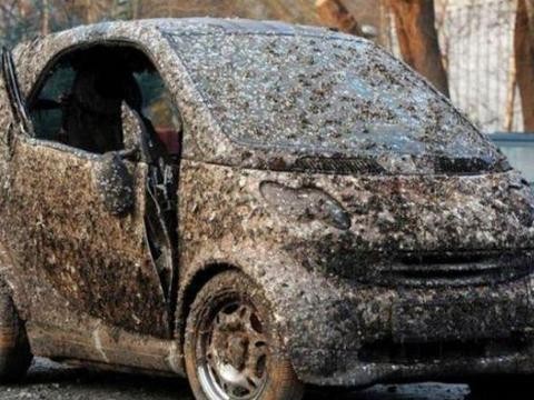 警察帮车主找到了5年前被偷的小车，没想到车主竟然不要了