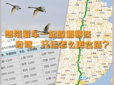 想带车一起躲避寒冬 自驾/托运怎么选
