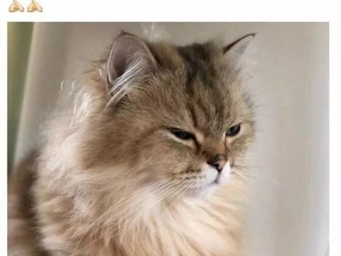 准妈妈用车必须“帅”!这款SUV明显搞事情