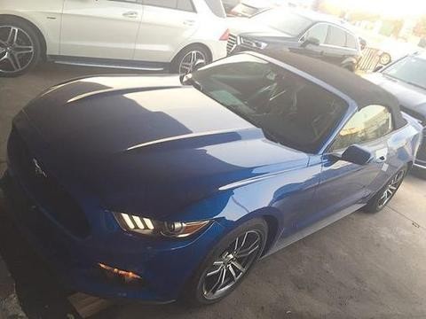 它绝不是那种灵巧的跑车,野马更像是笨重的野牛