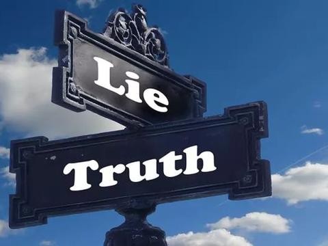 如何避免再次陷入丑闻？德国人和日本人想了这些办法