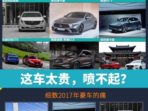 这车太贵，喷不起？细数2017年豪车的“痛”