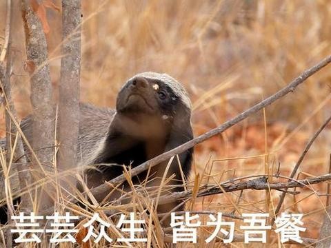 骚气！试驾BMW 328旅行版，喜欢它的都是有品位的人