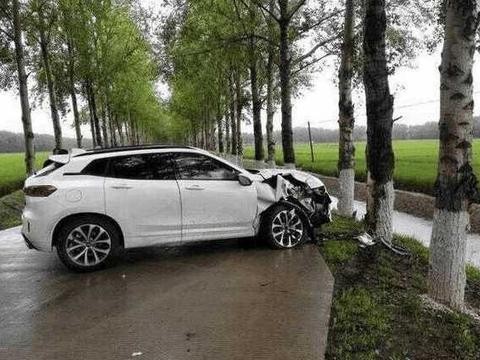 魏派VV7发起疯连树都撞, 看完防撞梁心都碎了, 车主: 树挺彪