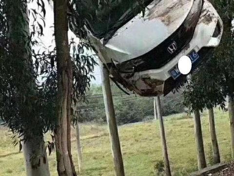 本田飞度 你这是要上天么