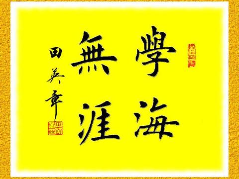 书法|田英章《学海无涯》王丽《以书扬德》作品赏析与养生感悟