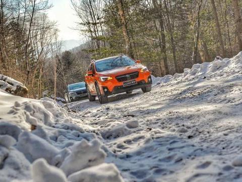 带着一台全球销量第四的四驱SUV,在原始森林里追逐野猪