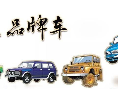 有哪些看得出较为用心的自主车是值得刚需家庭购买的？