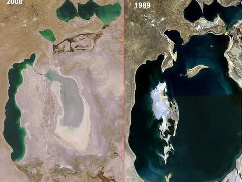 地震与生态灾难关联 日本死鱼事件真相探究