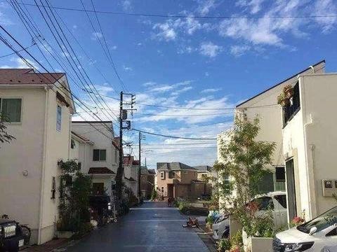 罕见丰田车，用漂亮的车标替换牛头标，只在日本销售，不引进国内