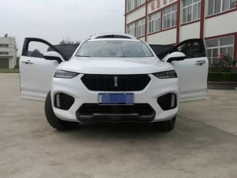 这款被“吹”上天的国产车，媳妇很喜欢，回一趟家后我却失望了