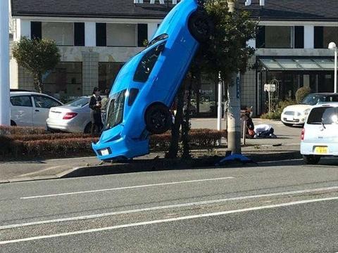 这是要上天么 一辆福特野马起到了树上