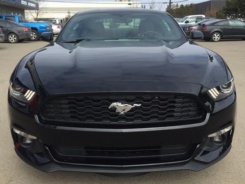 福特野马2.3T动力强野味十足的轿跑进口福特野马2.3T多少钱