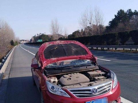 长安逸动高速行驶, 引擎盖突然打开, 车主一脸懵逼: 还好我命大