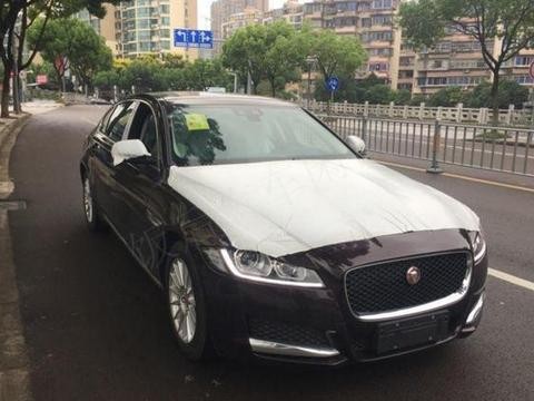 花40万买捷豹XFL：新车提回家，车尾四字让朋友们经不住笑了
