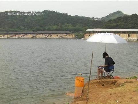 被蛇吞是什么感受？科学家穿碳纤防护服作死实验，心率...