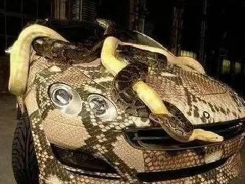 世界上最奇葩的改装车：图一太霸气，最后那个交警忍不住骂出口