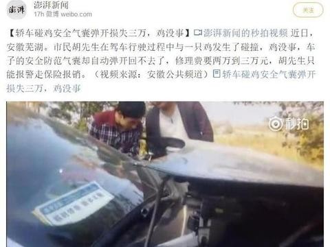 轿车碰鸡安全气囊弹开损失三万，鸡没事，这碰到的是战斗鸡？