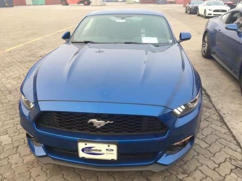 福特野马，玩车的入门小跑