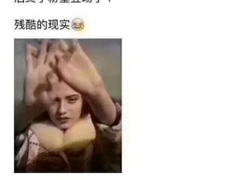 想知道“旅行车“最近有什么新消息么，都在这里了