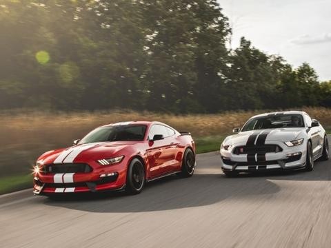 将性能进行到底！2018款福特野马谢尔比GT350/GT350R