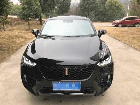 哥们叫我买本田CR-V,我买了这个,提车回来路上六七人问什么牌子