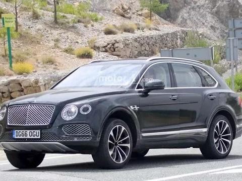 年轻人的第一辆豪车，宾利或学小米推“青春版”车型