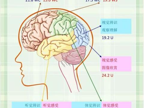 LQ天赋密码——皮纹测试