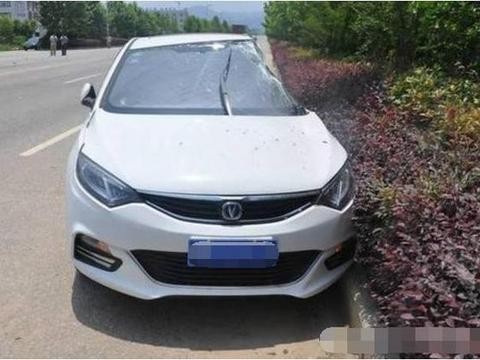 长安逸动被大巴撞凹一半，人却无事，这质量路人都为其点赞！