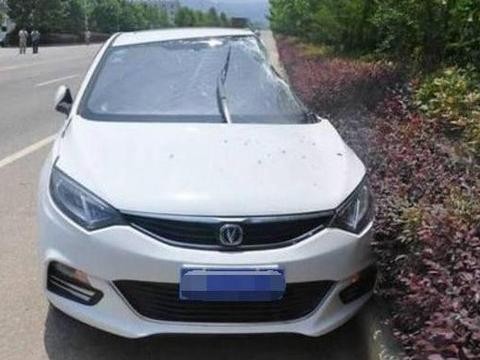 长安逸动被大巴撞凹一半, 人却无事, 这质量路人都为其点赞!