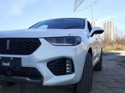 堂弟去订了大众途观L，见我提了这车回来，果断就去退定了！