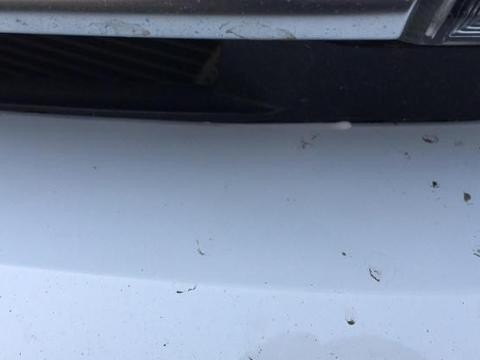 吉利“销量王”：新车6个月修8次，卖车不靠质量全靠吹？