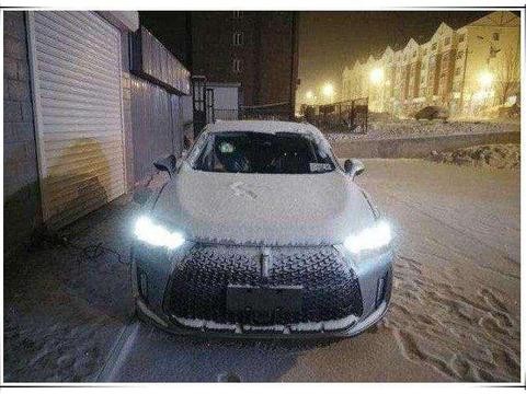 首批长城P8已经到店, 油耗不再是长城的黑点, 每公里仅要1毛5