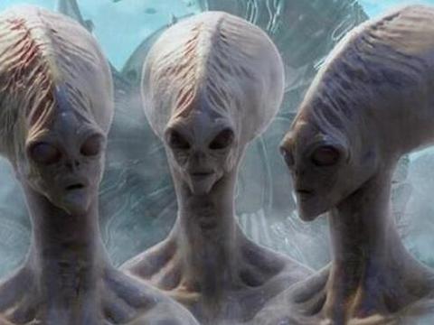人类有没有可能是外星人放养的试验品,而人类跟其他动物一样只是试验